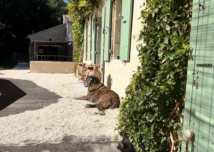 Le Moulin Dumas 3*