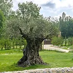 Vendégház Le Moulin Dumas 3*