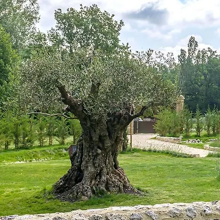 Gasthuis Le Moulin Dumas 3*