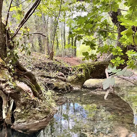 Le Moulin Dumas Grignan