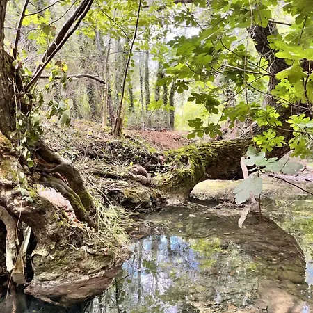 Le Moulin Dumas Πανσιόν 4*