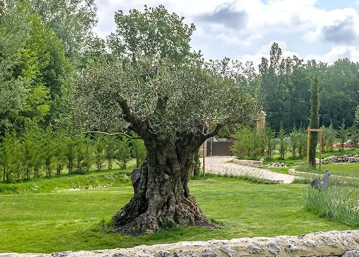Πανσιόν Le Moulin Dumas 3*